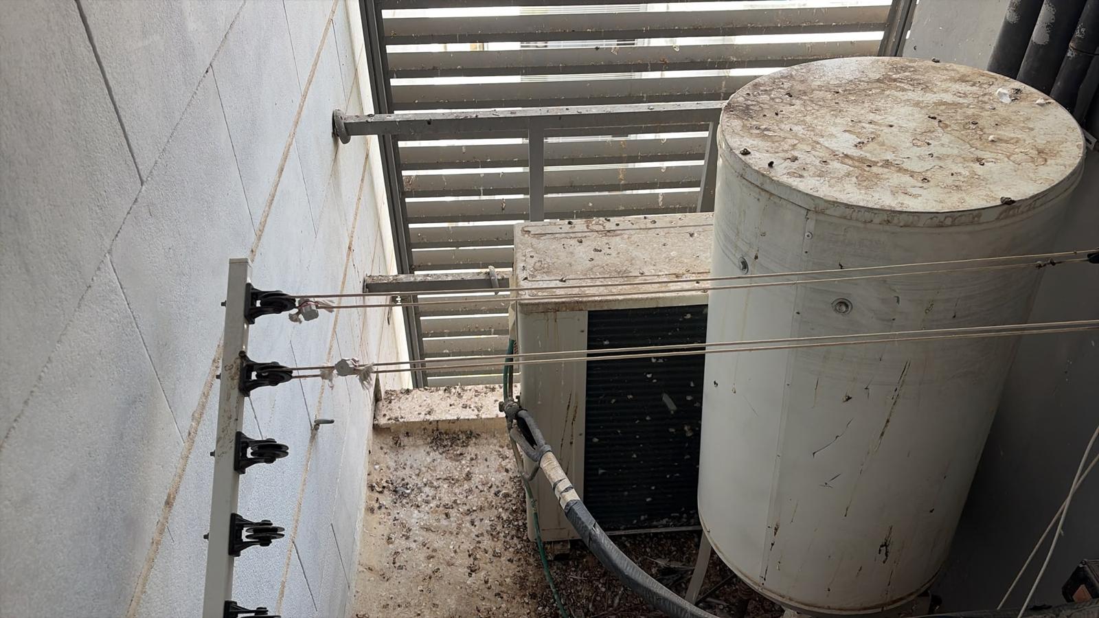 מסתור כביסה מלוכלך בלשלשת יונים לפני הניקוי — תמונה אמיתית מהשטח